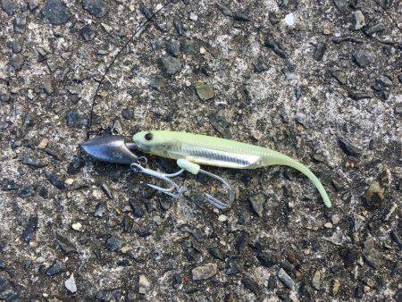 太刀とチーバス