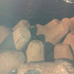 アジングは楽しい