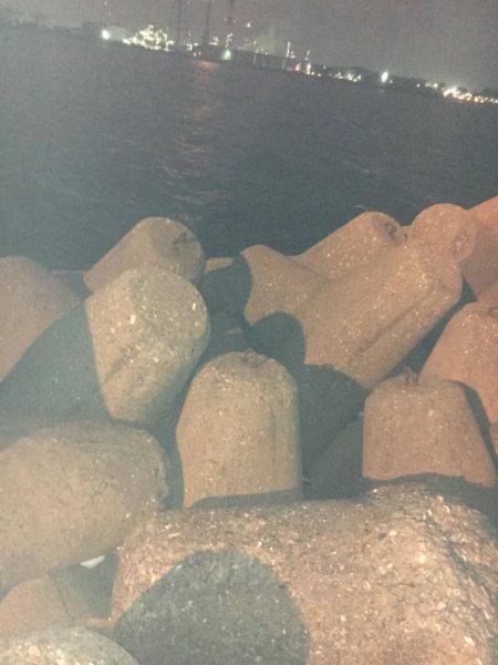 アジングは楽しい