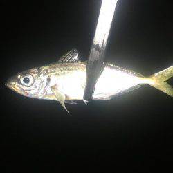 あからさま過ぎです(● ˃̶͈̀ロ˂̶͈́)੭ꠥ⁾⁾