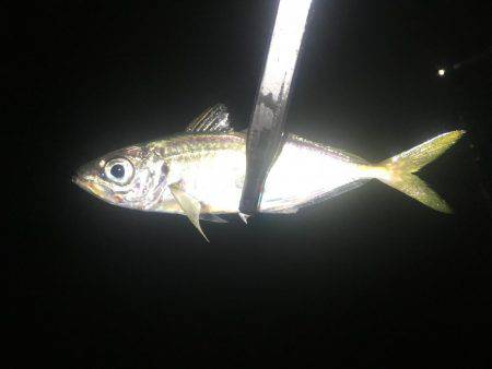 あからさま過ぎです(● ˃̶͈̀ロ˂̶͈́)੭ꠥ⁾⁾