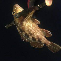 大雨だとダメなのか?!