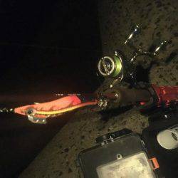 何とか一杯❗️