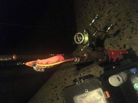 何とか一杯❗️