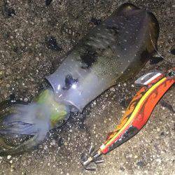 午前3時から朝までの予定でしたが。