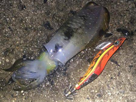 午前3時から朝までの予定でしたが。