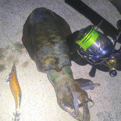 何処に潜んでるんだ？