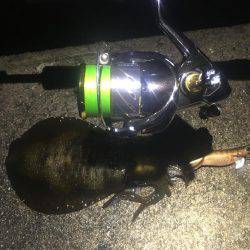 今夜も貸し切り♪