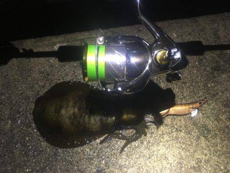 今夜も貸し切り♪