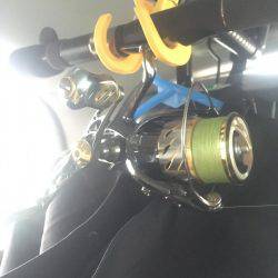 朝マヅメ×大雨×エギング！