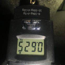 大きいサイズを求めて…