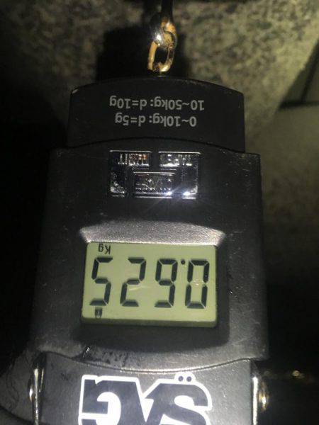 大きいサイズを求めて…