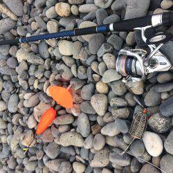 ソウダはお留守？