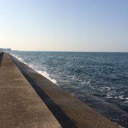 強風でよく飛ぶ