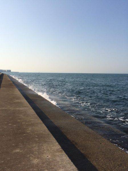 強風でよく飛ぶ