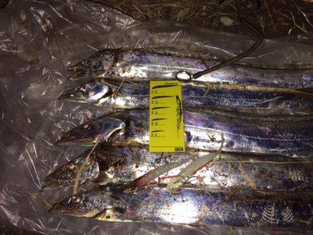 アタリはあれどキャッチは難しかった