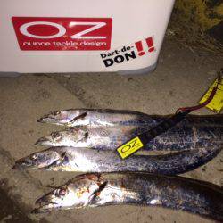 渋いアタリをなんとか拾いました