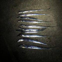 つぬけ達成( ´∀｀)