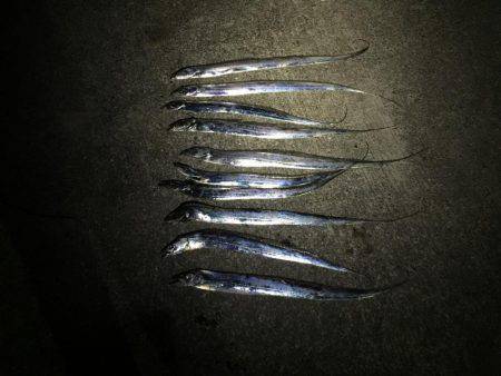 つぬけ達成( ´∀｀)