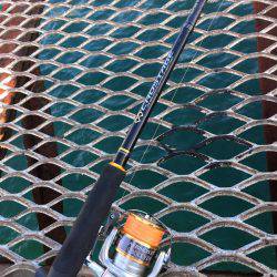 さ、さ、寒いですがエギング