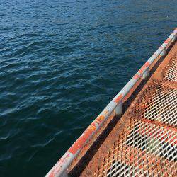 今年最後のエギング…