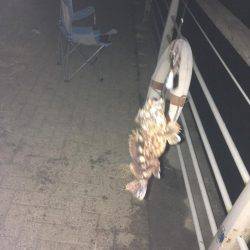 ガシリング練習