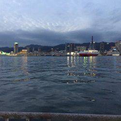 青物狙いだったが…