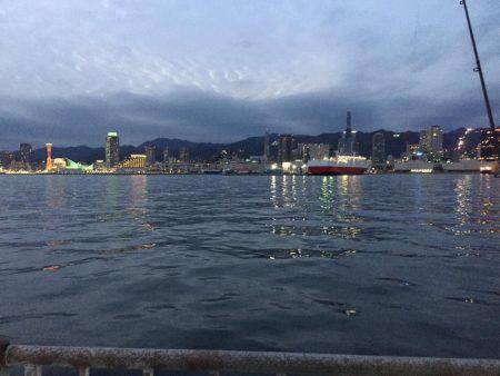 青物狙いだったが…