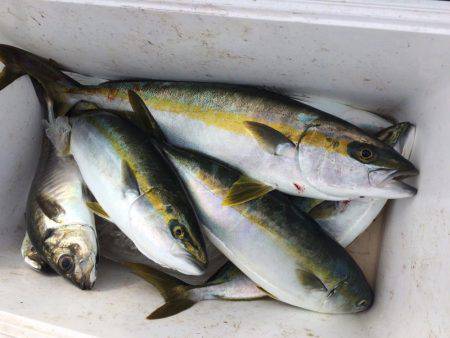 マイボートにて