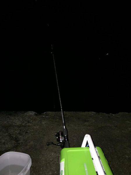 アジング釣行2日目