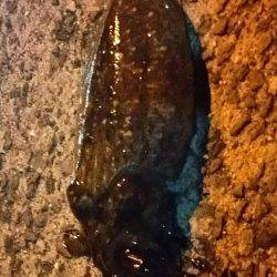 そろそろ釣れるかな