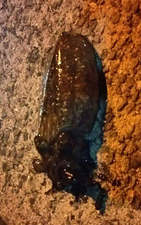 そろそろ釣れるかな