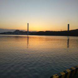 中浦緑地公園、テンヤでタチウオ