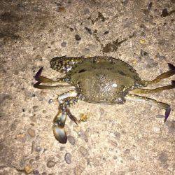 いつもと違うとこに‼