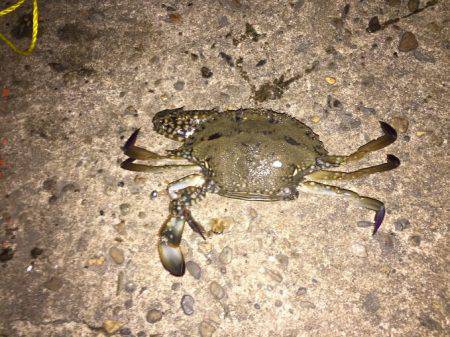 いつもと違うとこに‼