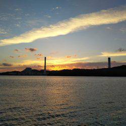 中浦緑地公園テンヤでタチウオ