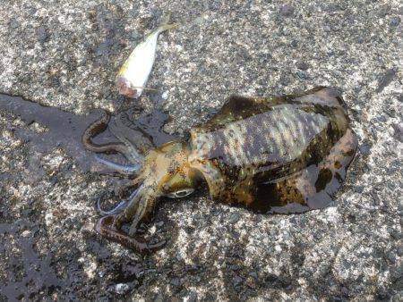 悪天候になる前に