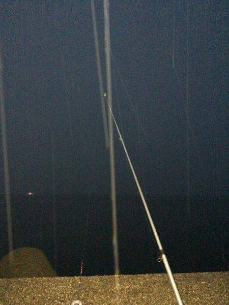 播磨新島でキス狙い