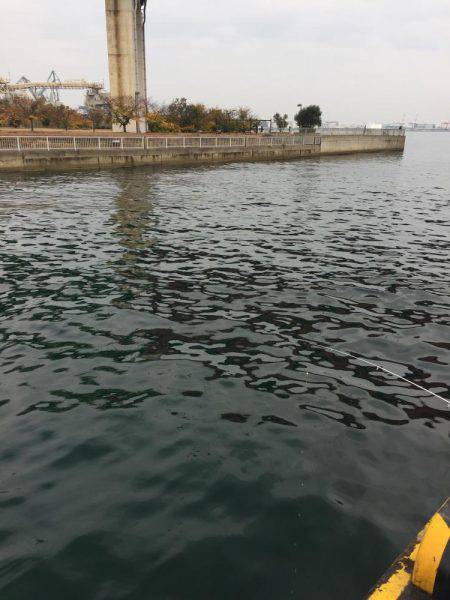 マイワシオンリー