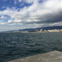 メタルジグにアジ