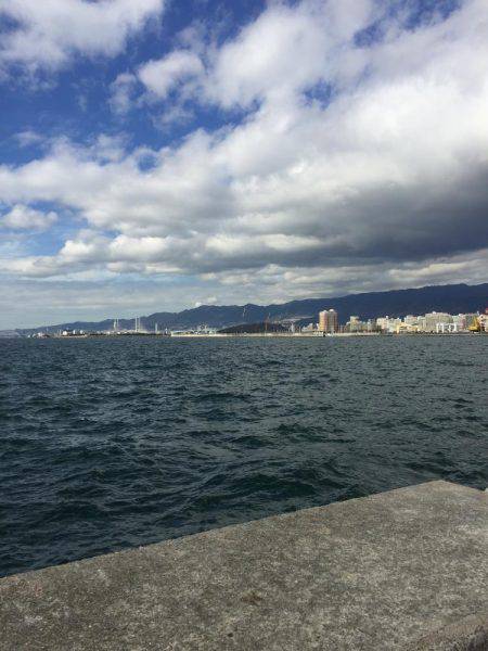 メタルジグにアジ