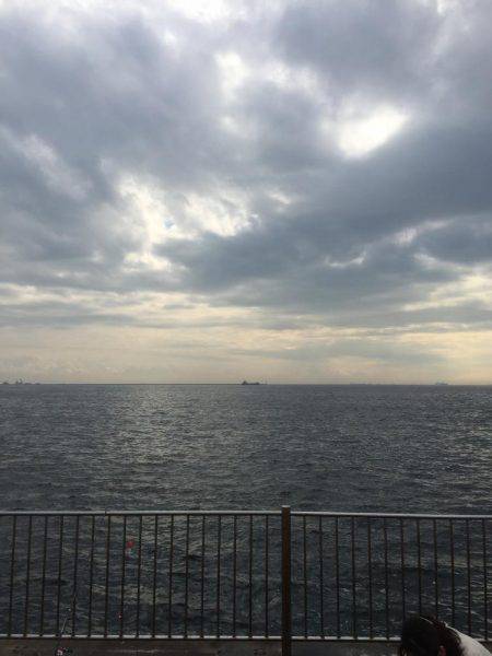 ひさびさのサヨリ