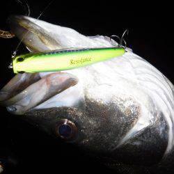 ハイシーズン♪