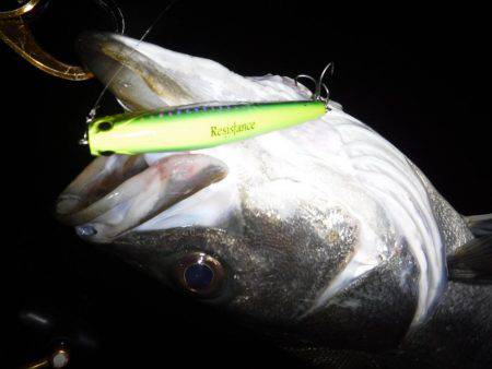 ハイシーズン♪