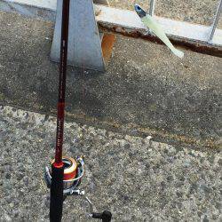 そろそろ終盤かな？？