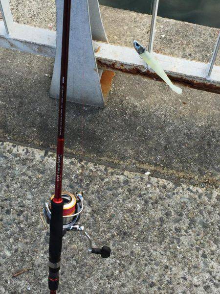 そろそろ終盤かな？？