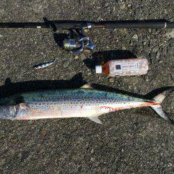 釣り人生一番の大物