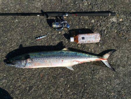 釣り人生一番の大物