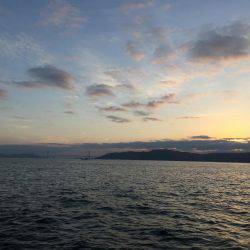 コウイカ ノマセ 近藤丸