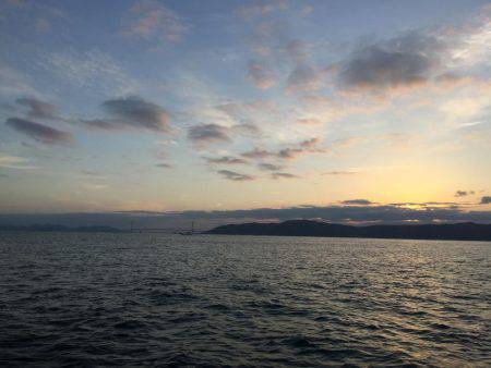 コウイカ ノマセ 近藤丸